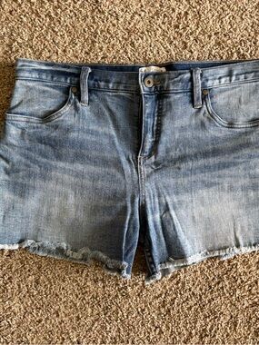 EUC Carve Designs Blue Denim Shorts